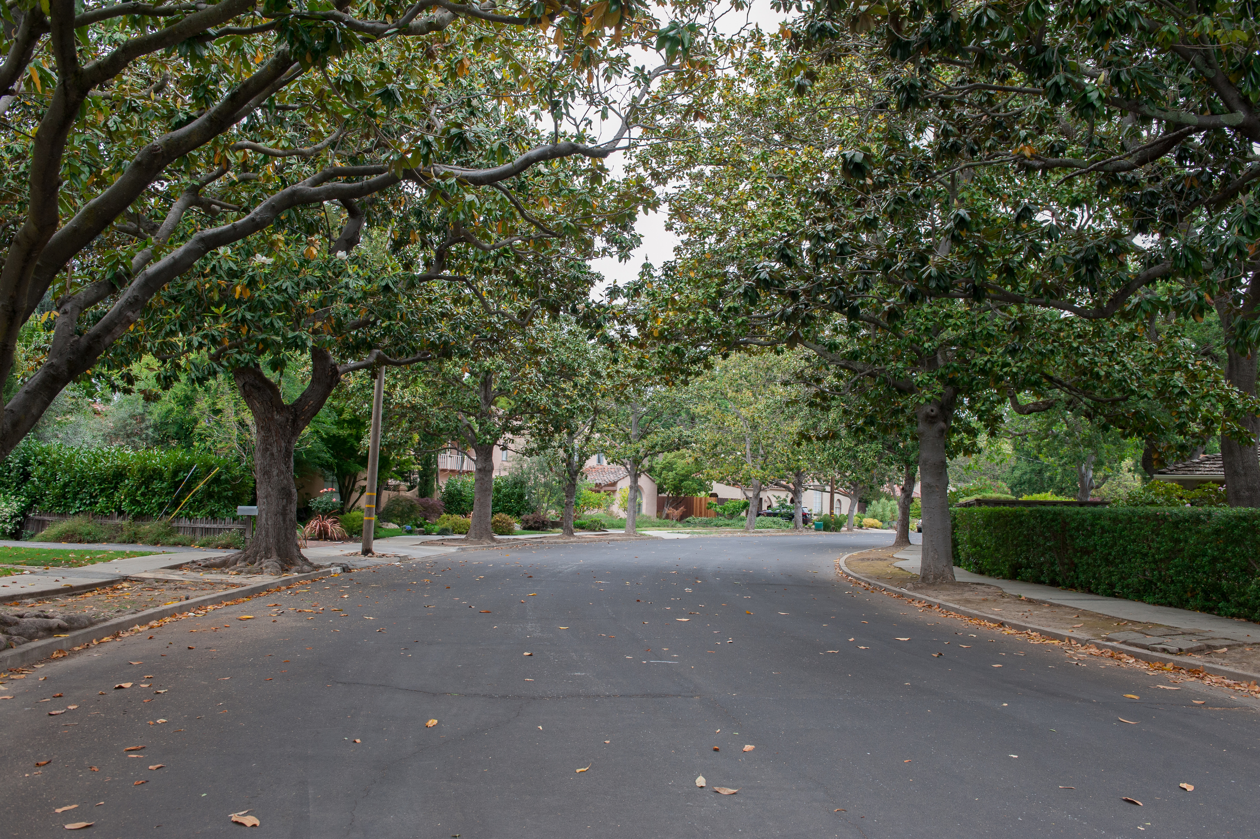  High School Acres offers tree lined streets and large lots. 