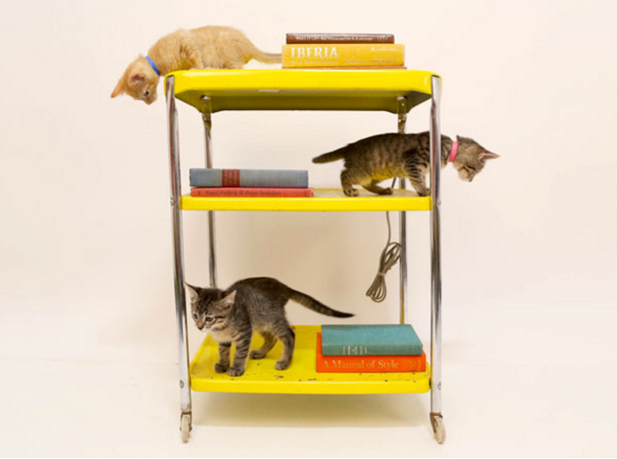 Where to Buy Used Furniture Whearley & Co